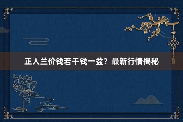 正人兰价钱若干钱一盆？最新行情揭秘
