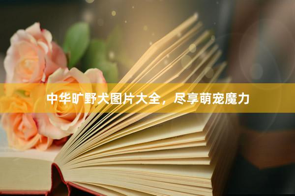中华旷野犬图片大全,尽享萌宠魔力